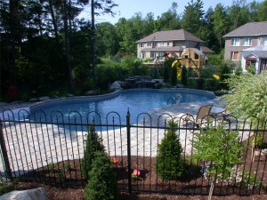 curved swimming pool in the back yard of an Ottawa home