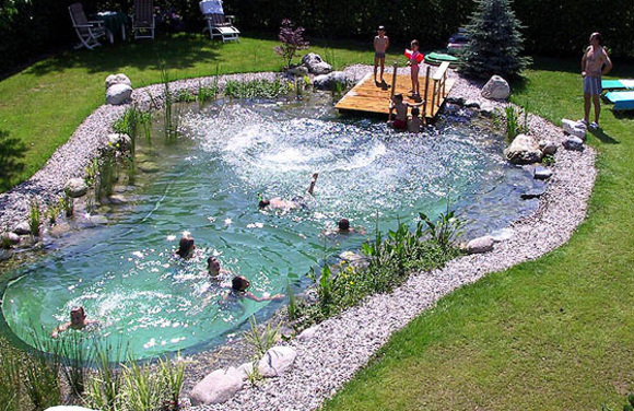 Saltwater swimming pools Ottawa