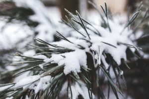 cold snowy winter and hot tubs in ottawa