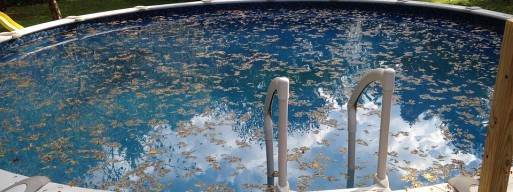 Swimming pool safety covers help keep debris out of the pool.